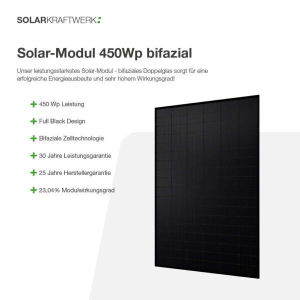 20354 Solarkraftwerk Wand 1800 1600 Bifazial 03